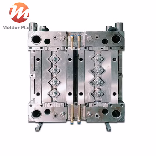 High Quality OEM Customized Plastic Injection Molding Parts for Electronic Product/Auto Parts